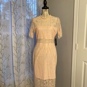 Lulus Remarkable Light Pink Lace Dress